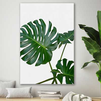 floral print of Monstera Leaf Two