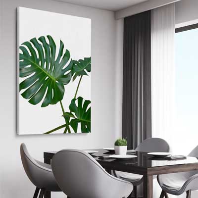 Monstera Leaf Two
