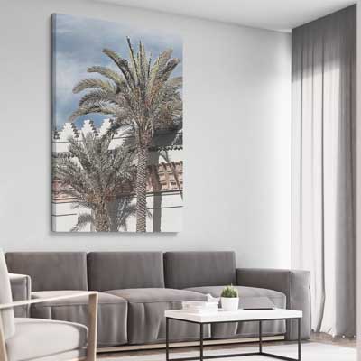 Marrakesh Palms