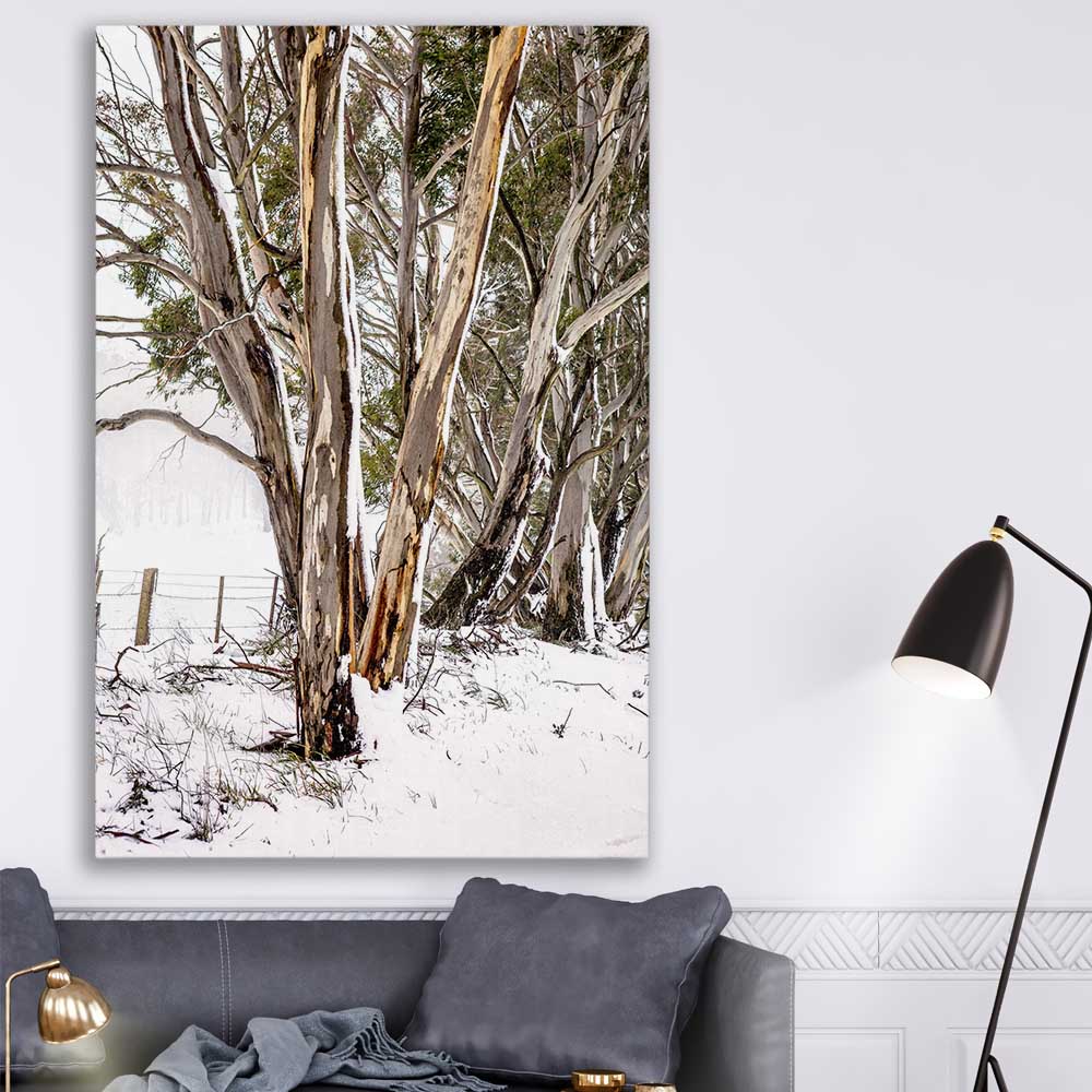 Snowy Gumtrees Wall Art Framed Prints & Canvas