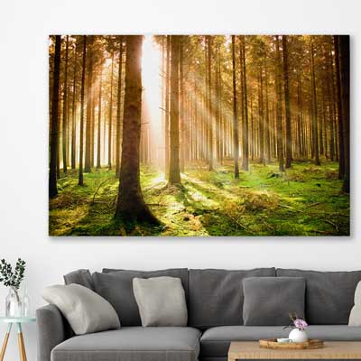 floral print of Pine Forest Sunrise