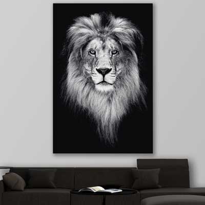 animal wall art and canvas prints of Lion Gaze