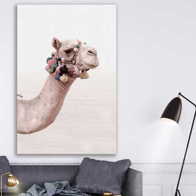 animal wall art and canvas prints of Bohemian Camel
