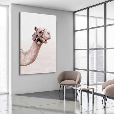 Bohemian Camel