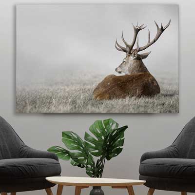 animal wall art and canvas prints of Deer Solitude