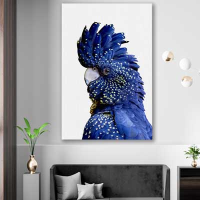 animal wall art and canvas prints of Black Cockatoo One