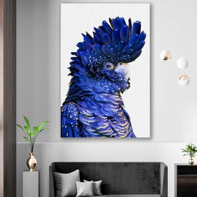 animal wall art and canvas prints of Black Cockatoo Two