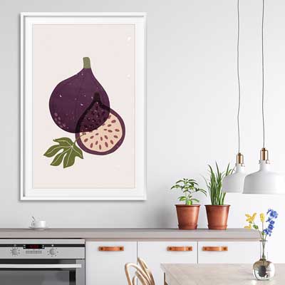 Purple Fig